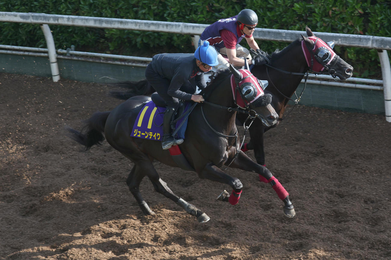 岩田望騎手を背に坂路にて併せ馬で追い切るジューンテイク（手前）