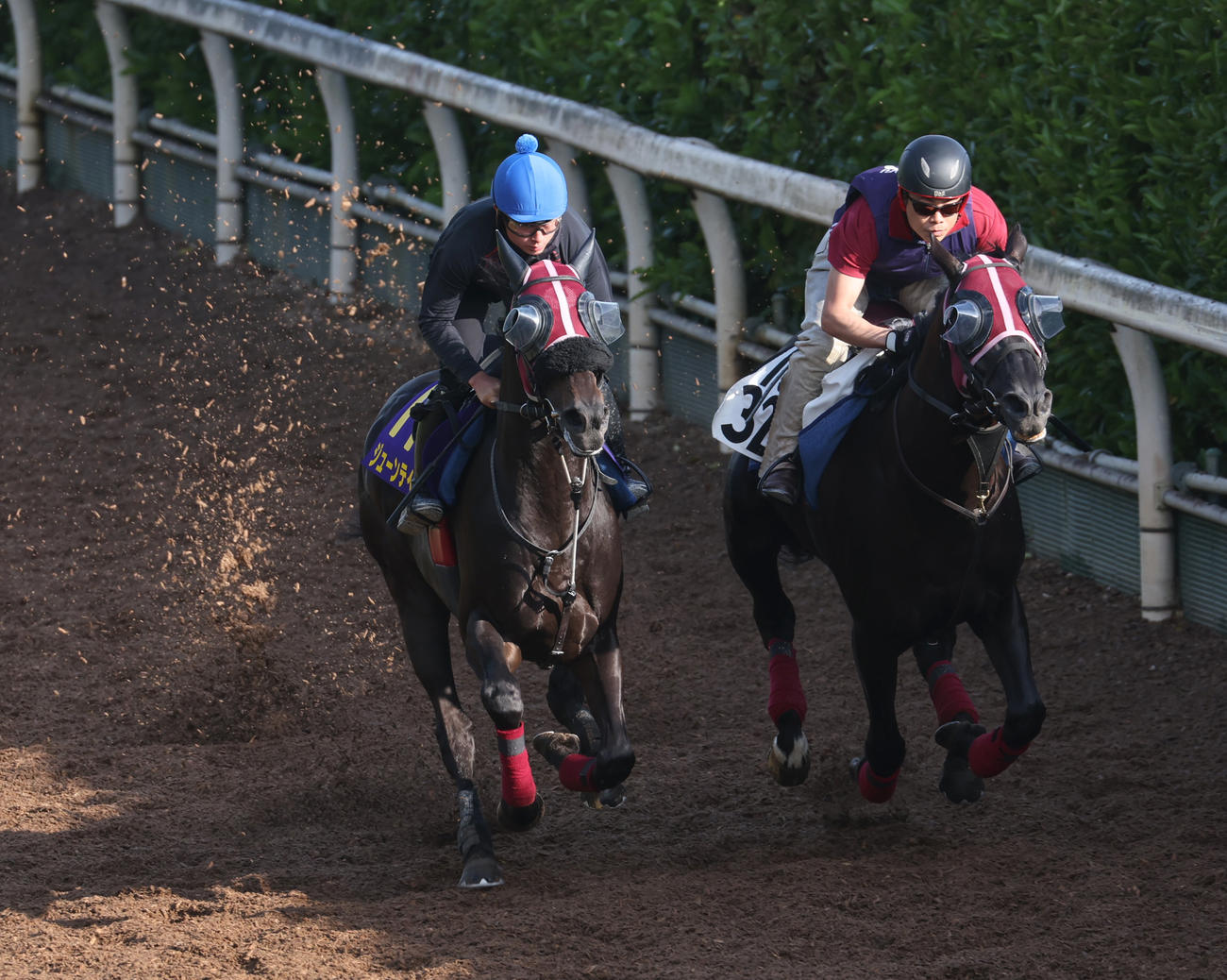 岩田望騎手を背に坂路にて併せ馬で追い切るジューンテイク（左）
