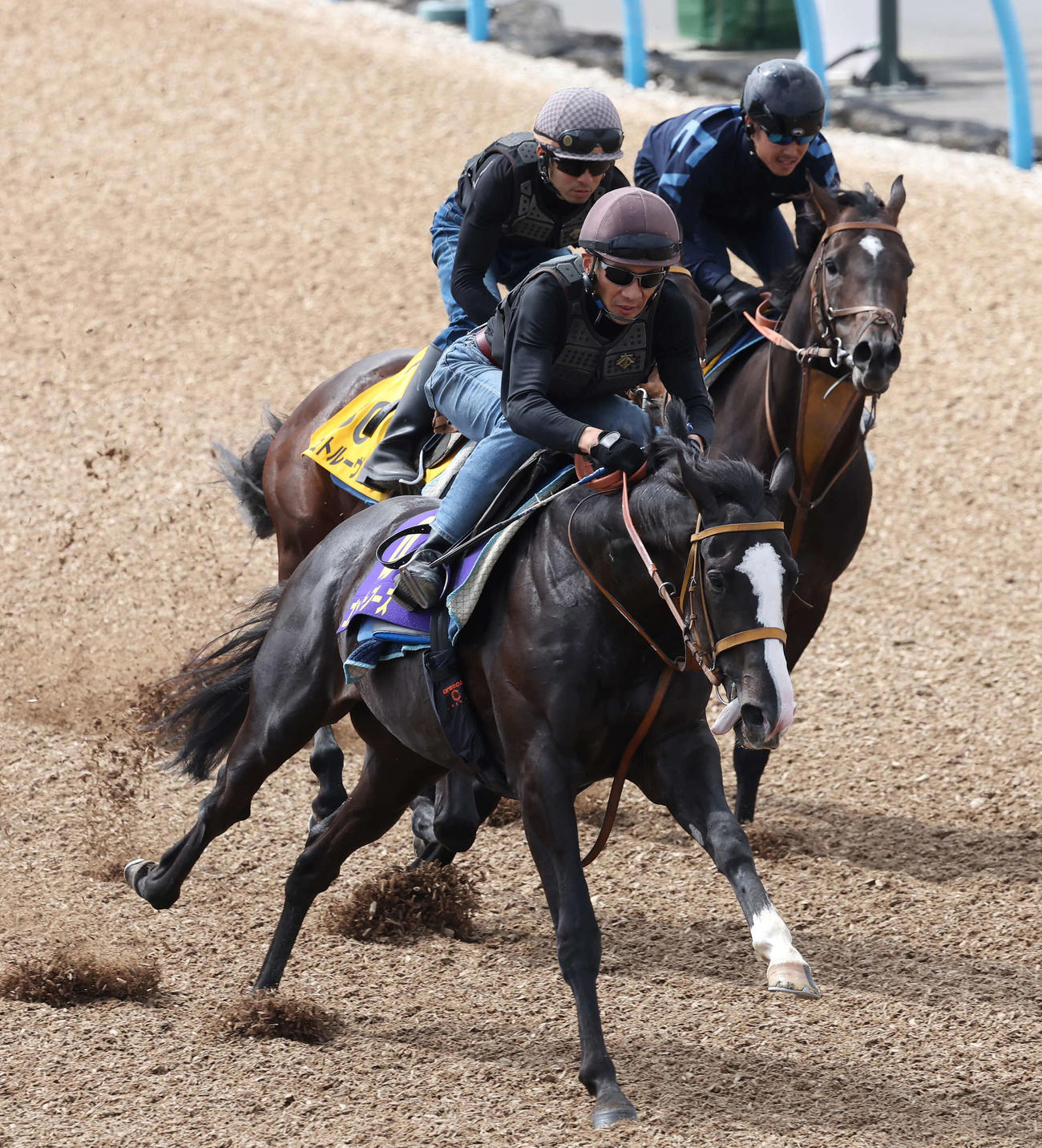 ゴンバデカーブース（手前）は美浦ウッドを3頭併せで追い切られた（撮影・丹羽敏通）