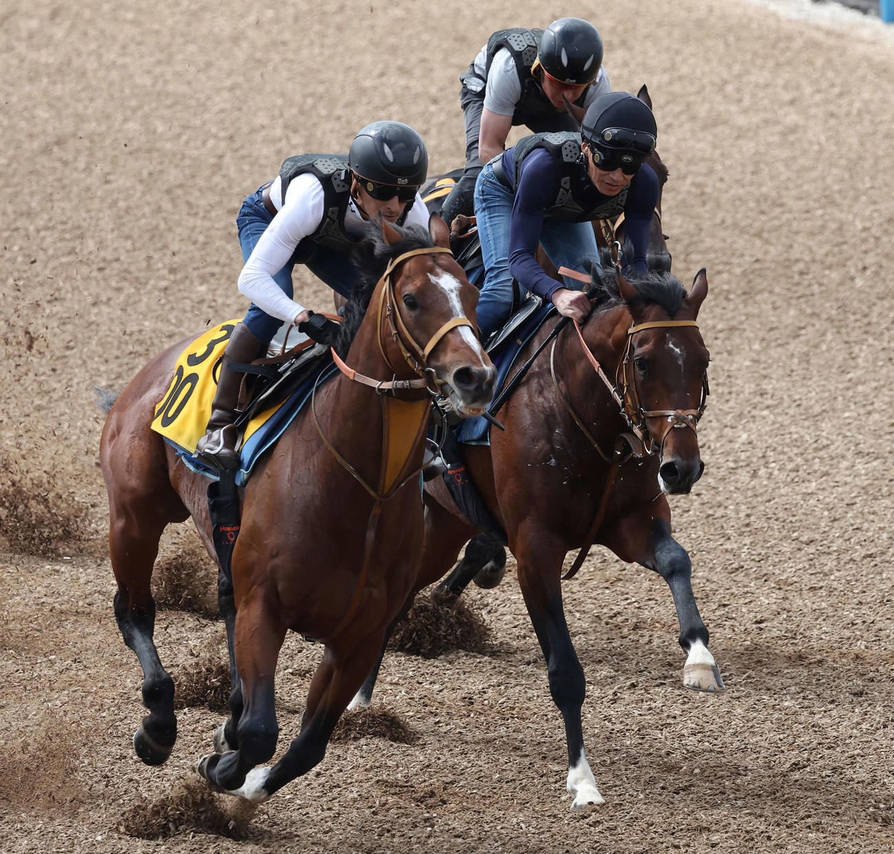 ダノンエアズロック（中央）は美浦ウッドを3頭併せで追い切られた（撮影・丹羽敏通）