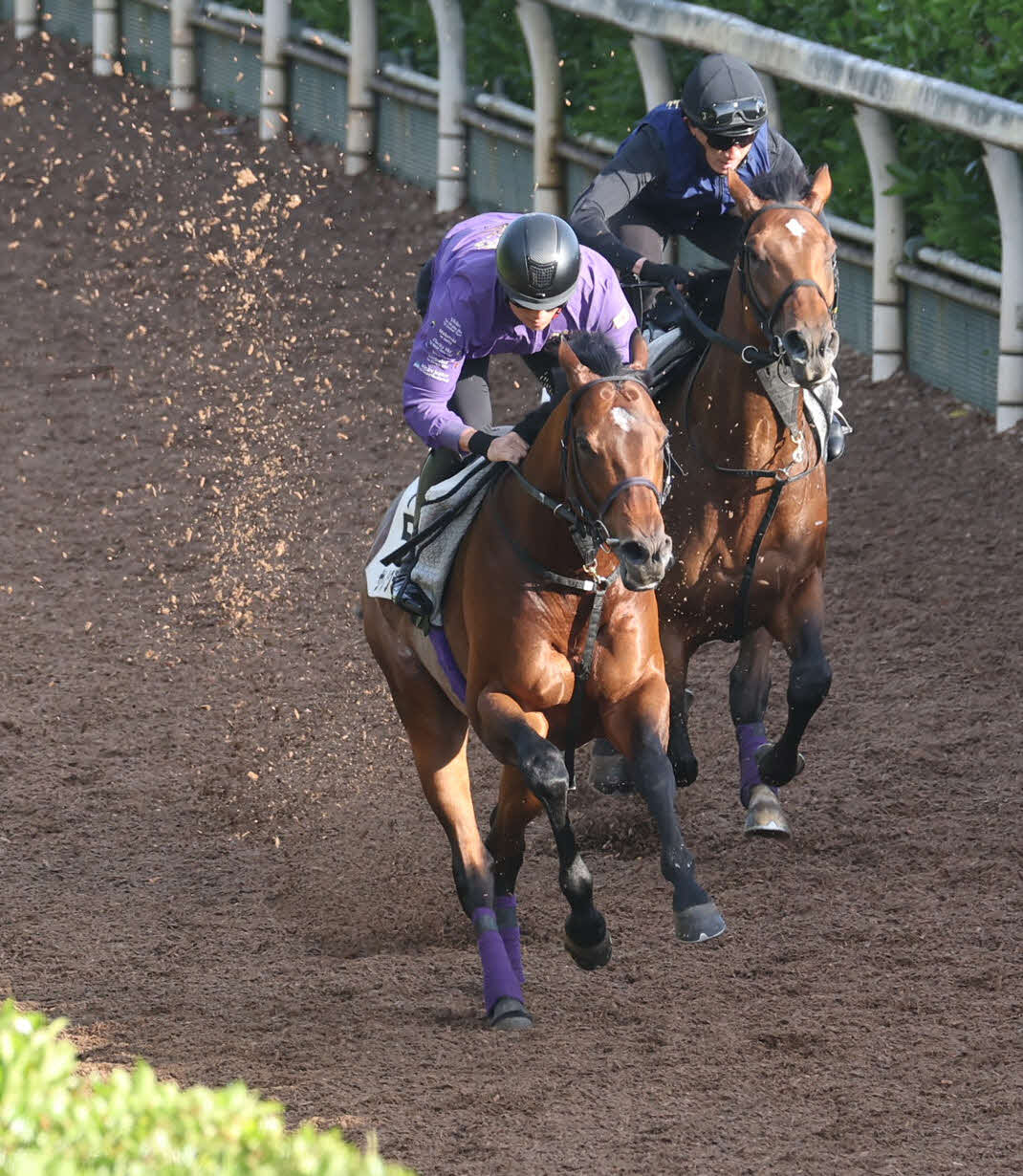 坂路で併せ馬で追い切るサトノグランツ（左）