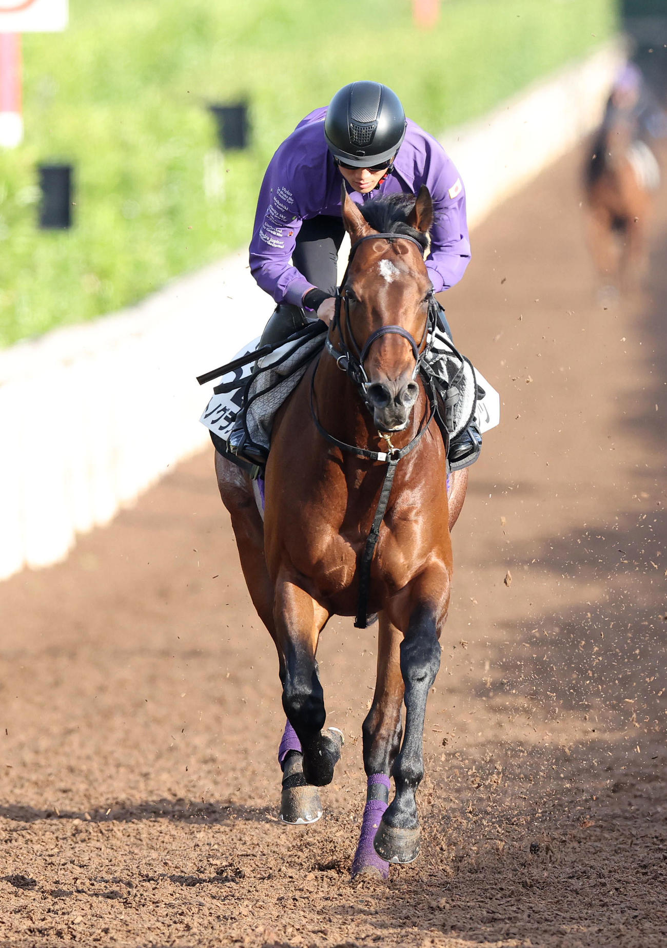 坂路を併せ馬で追い切るサトノグランツ（撮影・白石智彦）