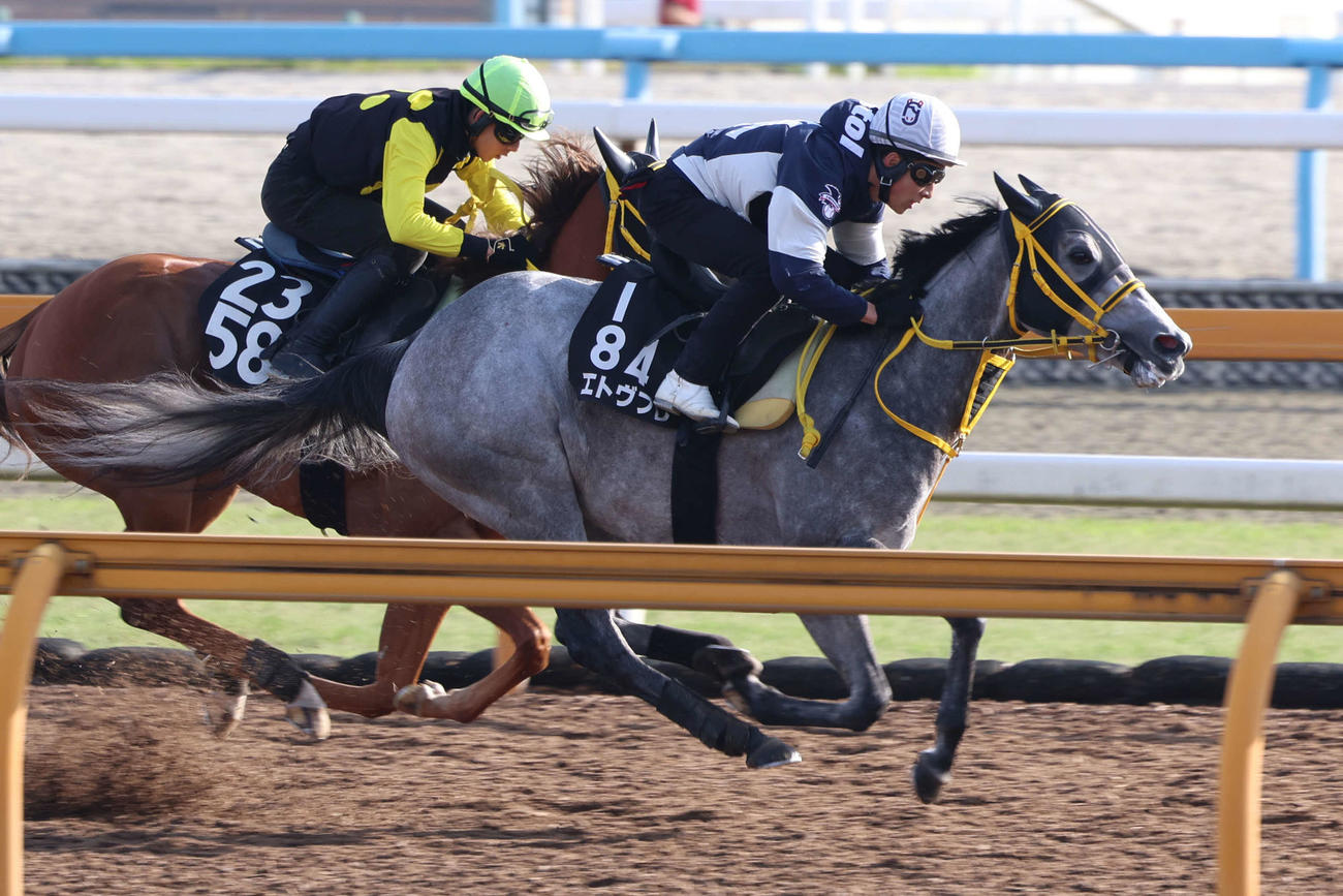 藤岡佑介騎手が騎乗し、併せ馬に先着したエトヴプレ