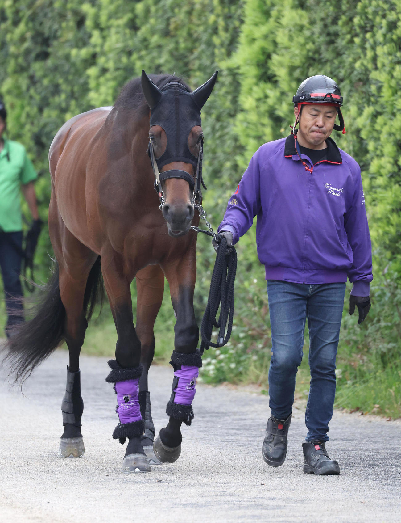 厩舎周りで運動するジャスティンミラノ（2024年5月23日撮影）