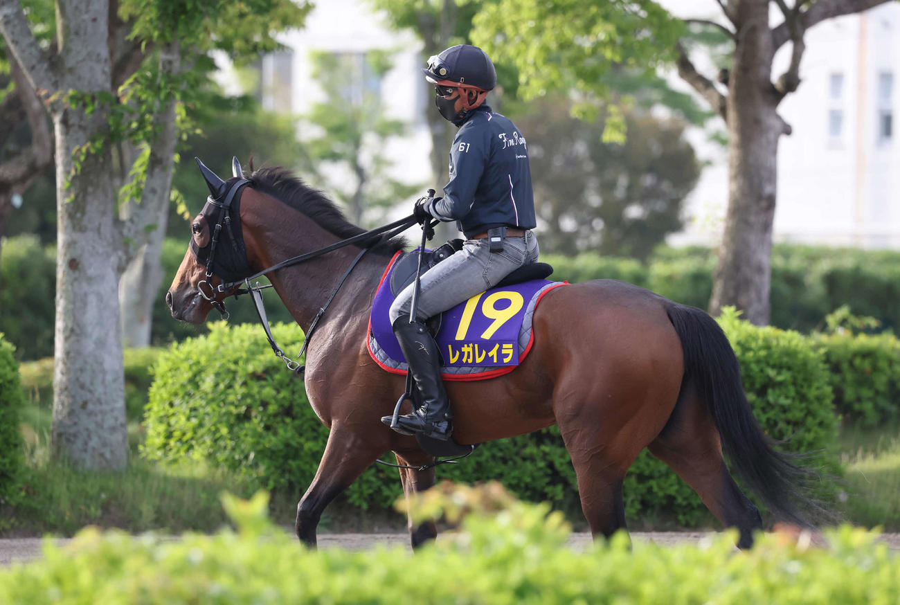 23日、運動を終えて引き揚げるレガレイラ（撮影・丹羽敏通）