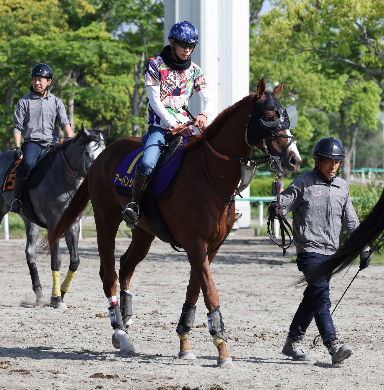 22日、馬場へ向かうアーバンシックと横山武騎手（撮影・丹羽敏通）