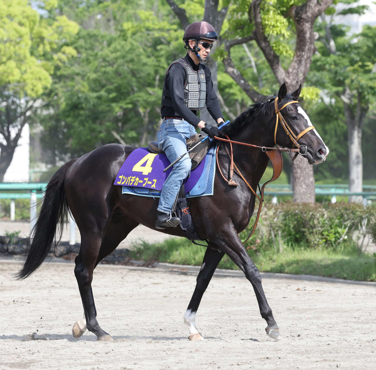 22日、馬場へ向かうゴンバデカーブース（撮影・丹羽敏通）