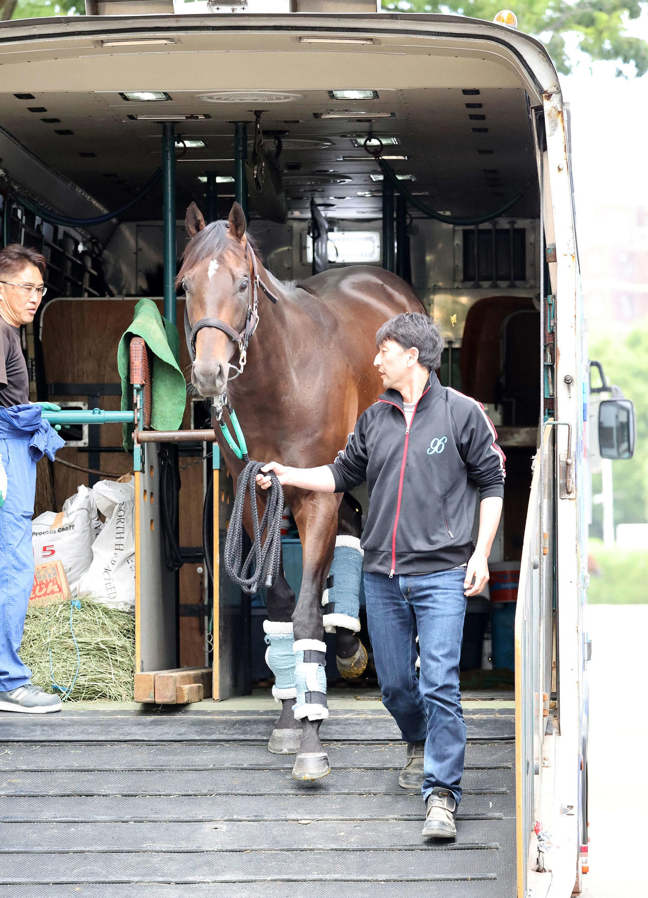 東京競馬場に到着したシュガークン（撮影・鈴木正人）