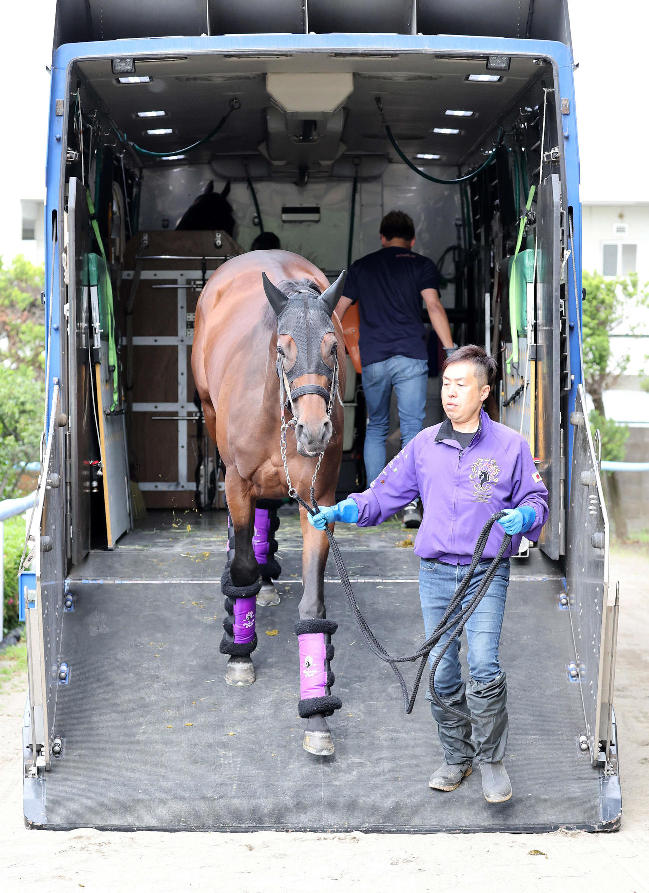 東京競馬場に到着したジャスティンミラノ（撮影・鈴木正人）