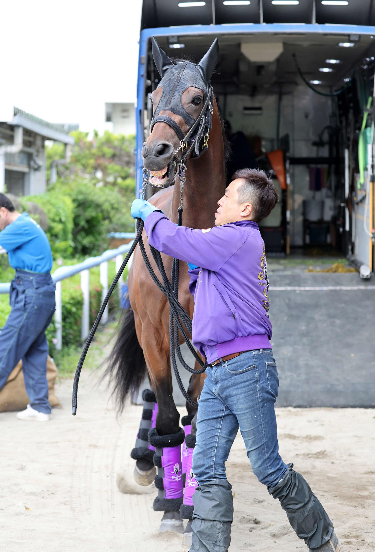 東京競馬場に到着したジャスティンミラノ（撮影・鈴木正人）