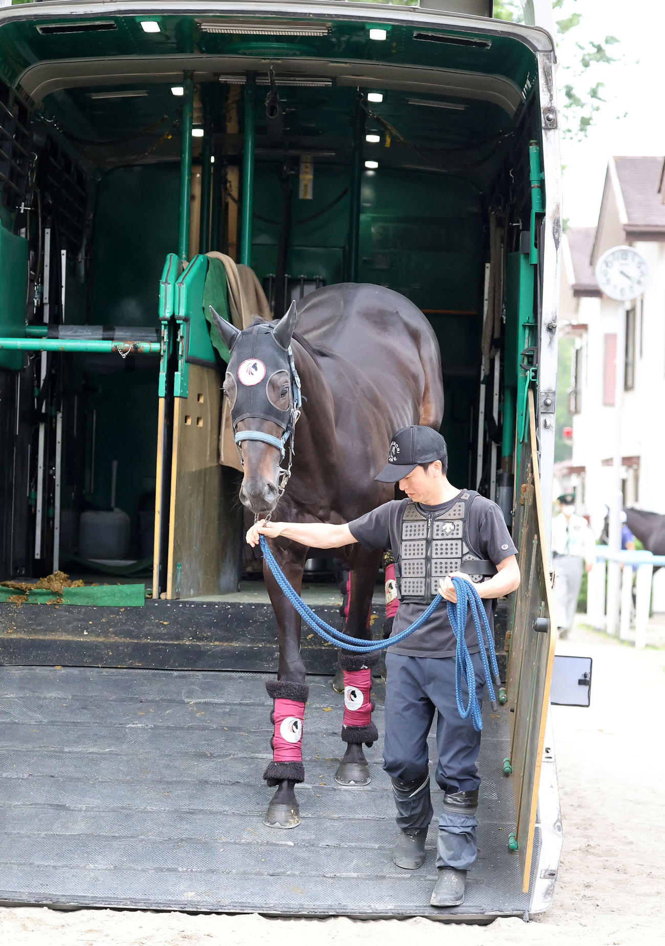 東京競馬場に到着したジューンテイク（撮影・鈴木正人）