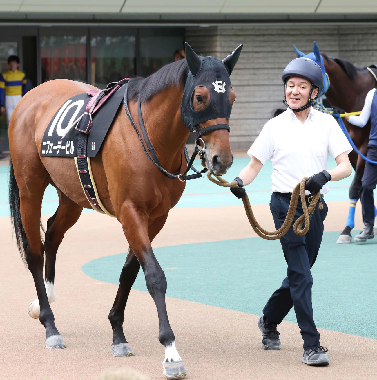 東京9R、富嶽賞のパドックで中舘厩舎のニフェーデービルを引く中竹調教師会会長（撮影・丹羽敏通）