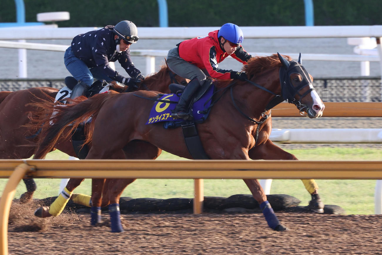 池添謙一騎手が騎乗し、Cウッドコース併せ馬に先着するサンライズアース（右）
