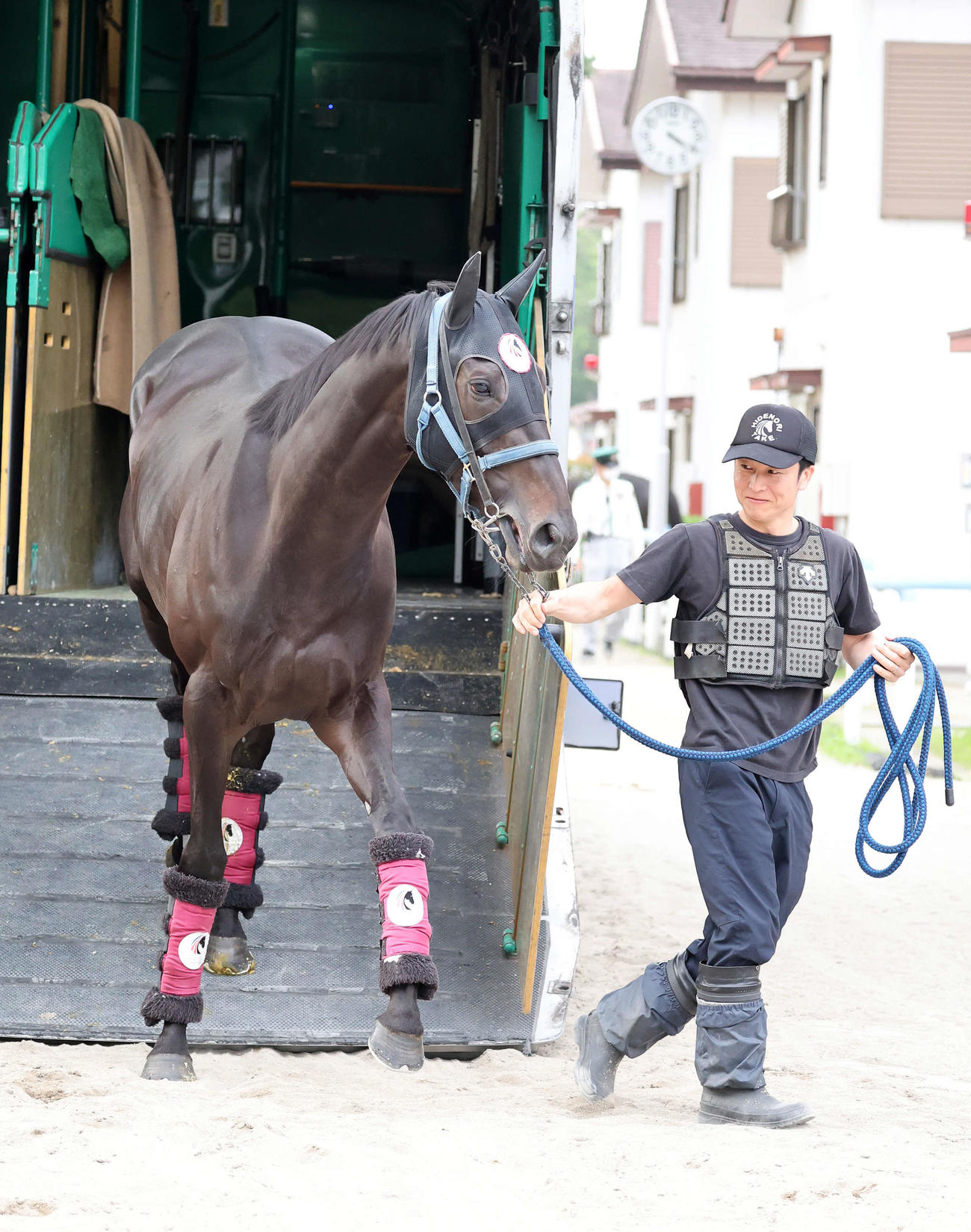 東京競馬場に到着したジューンテイク（撮影・鈴木正人）