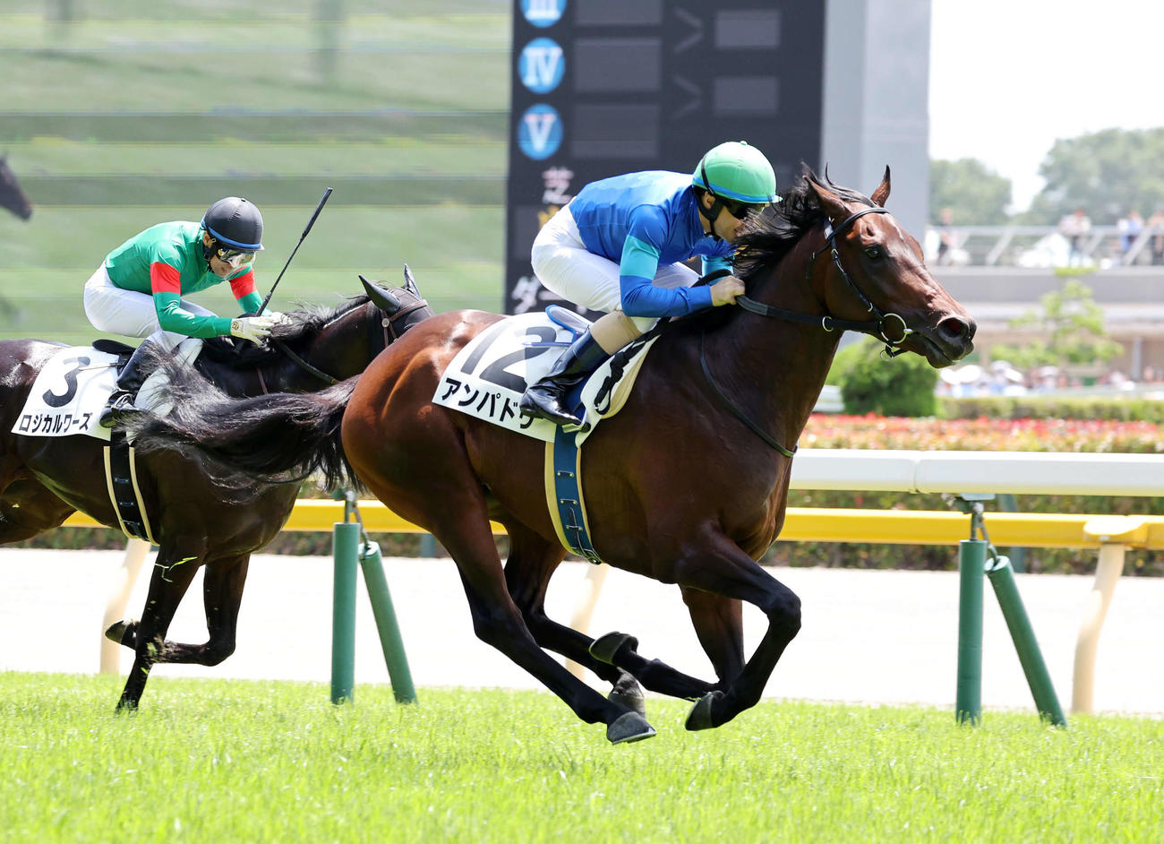 東京4R 3歳未勝利を制したアンパドゥ（右）とルメール騎手（撮影・鈴木正人）