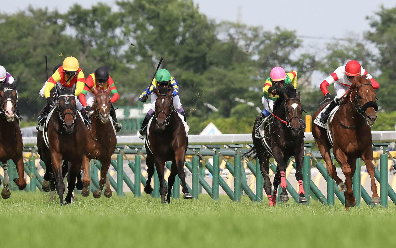 ダービー2着に敗れたジャスティンミラノ（左）。右は勝ったダノンデサイル（撮影・丹羽敏通）
