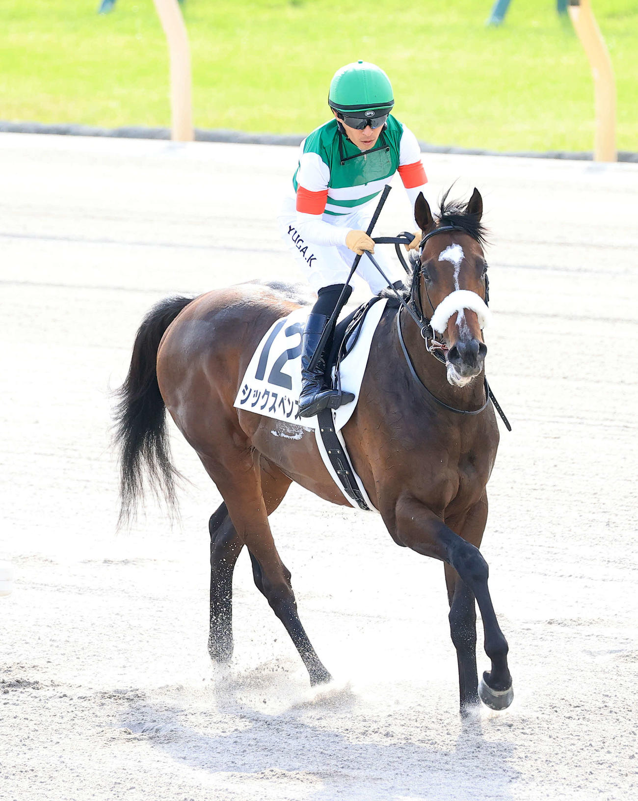 ダービー9着に敗れたシックスペンスと川田将雅騎手