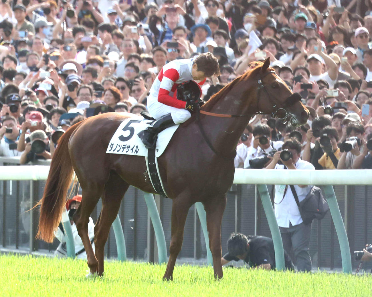 日本ダービーを制してダノンデサイルの馬上でヘルメットを脱いで一礼する横山典騎手（撮影・丹羽敏通）