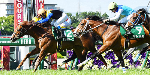 鳴尾記念を制したボッケリーニと浜中騎手(左)(撮影・清水貴仁)=2023年6月3日、阪神競馬場