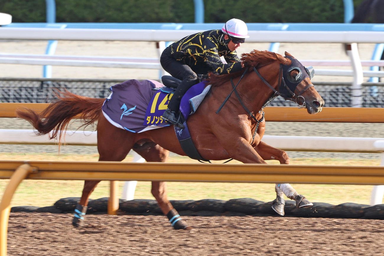ダノンデサイルの追い切りに自ら騎乗する安田翔師（2024年4月4日撮影）