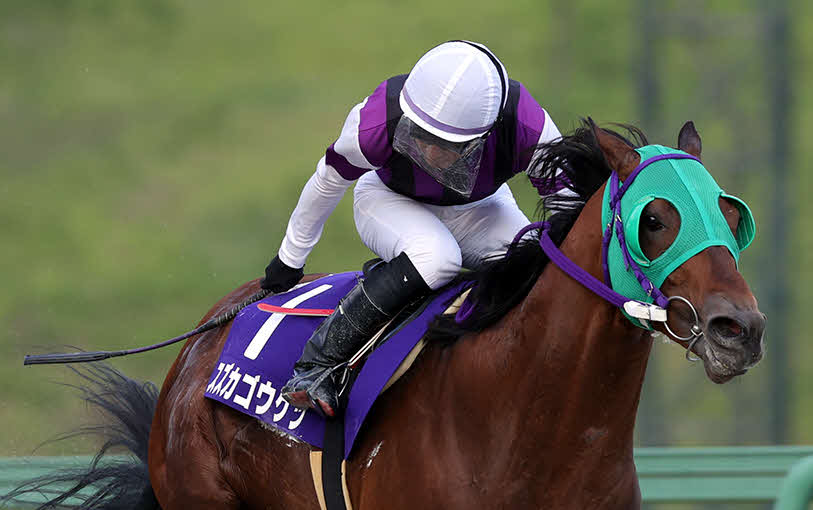 あすなろ賞を制したスズカゴウケツ（写真提供・岩手県競馬組合）