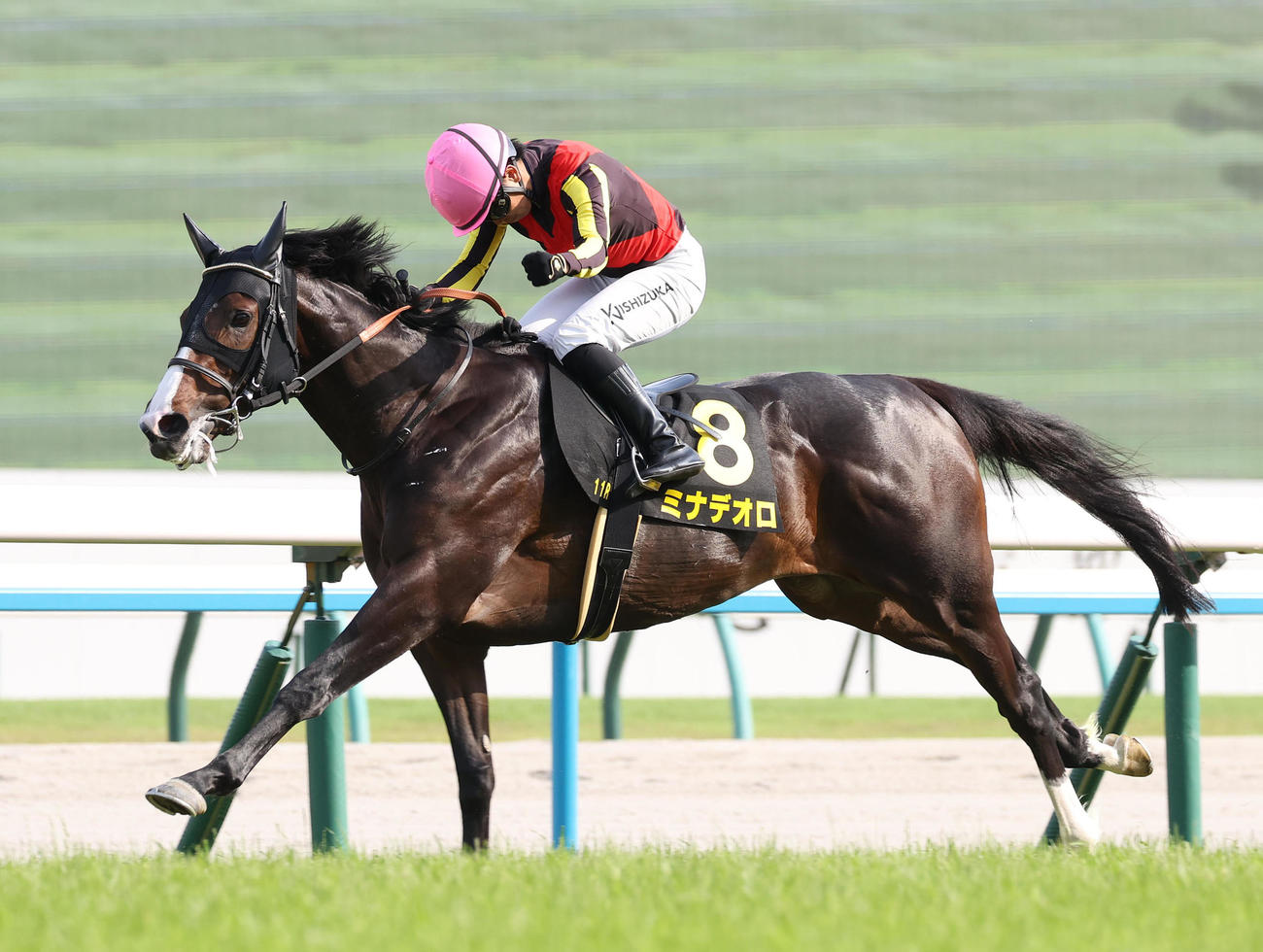 京都11R、白百合Sをミナデオロで勝ちガッツポーズをみせる西塚騎手（撮影・白石智彦）