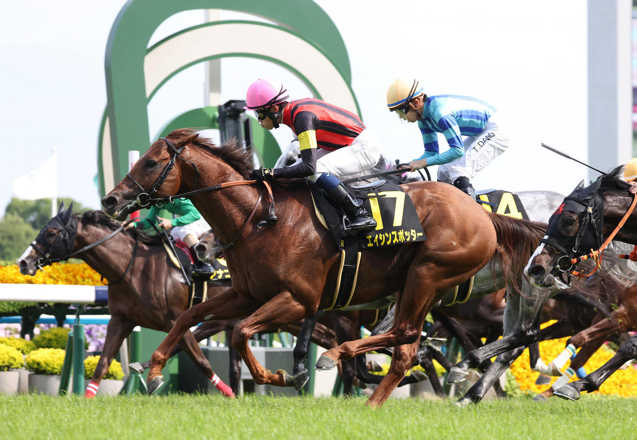京都10R、ゴール前で差し切り安土城Sを制したエイシンスポッターと角田河騎手（撮影・白石智彦）