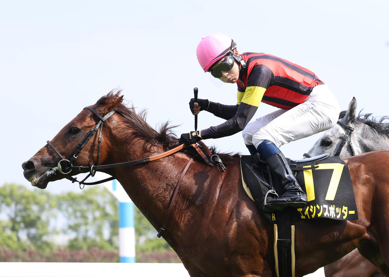 安土城Sを制したエイシンスポッター、鞍上の角田河騎手はガッツポーズで喜ぶ（撮影・白石智彦）