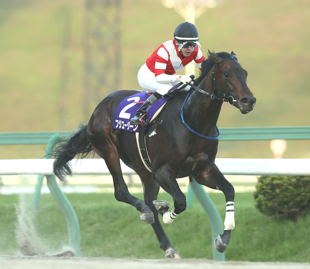 フジユージーン（岩手県競馬組合提供）