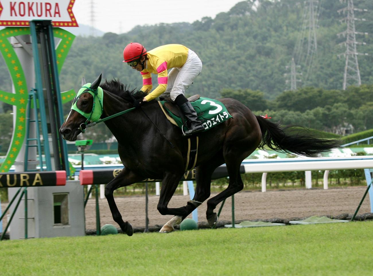 2着馬に3馬身差を付け小倉サマージャンプを手中にしたコウエイトライ（2007年7月撮影）