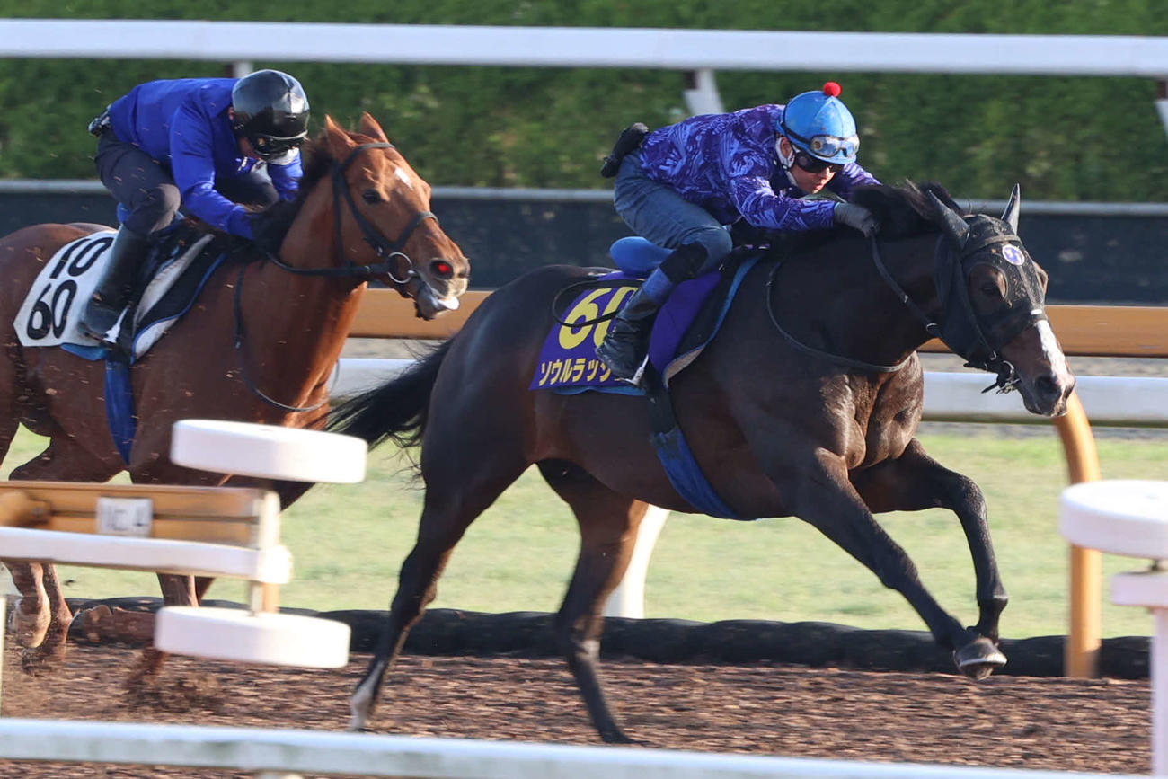 22日、安田記念へ向けCWコースで速いラップを刻んだソウルラッシュ