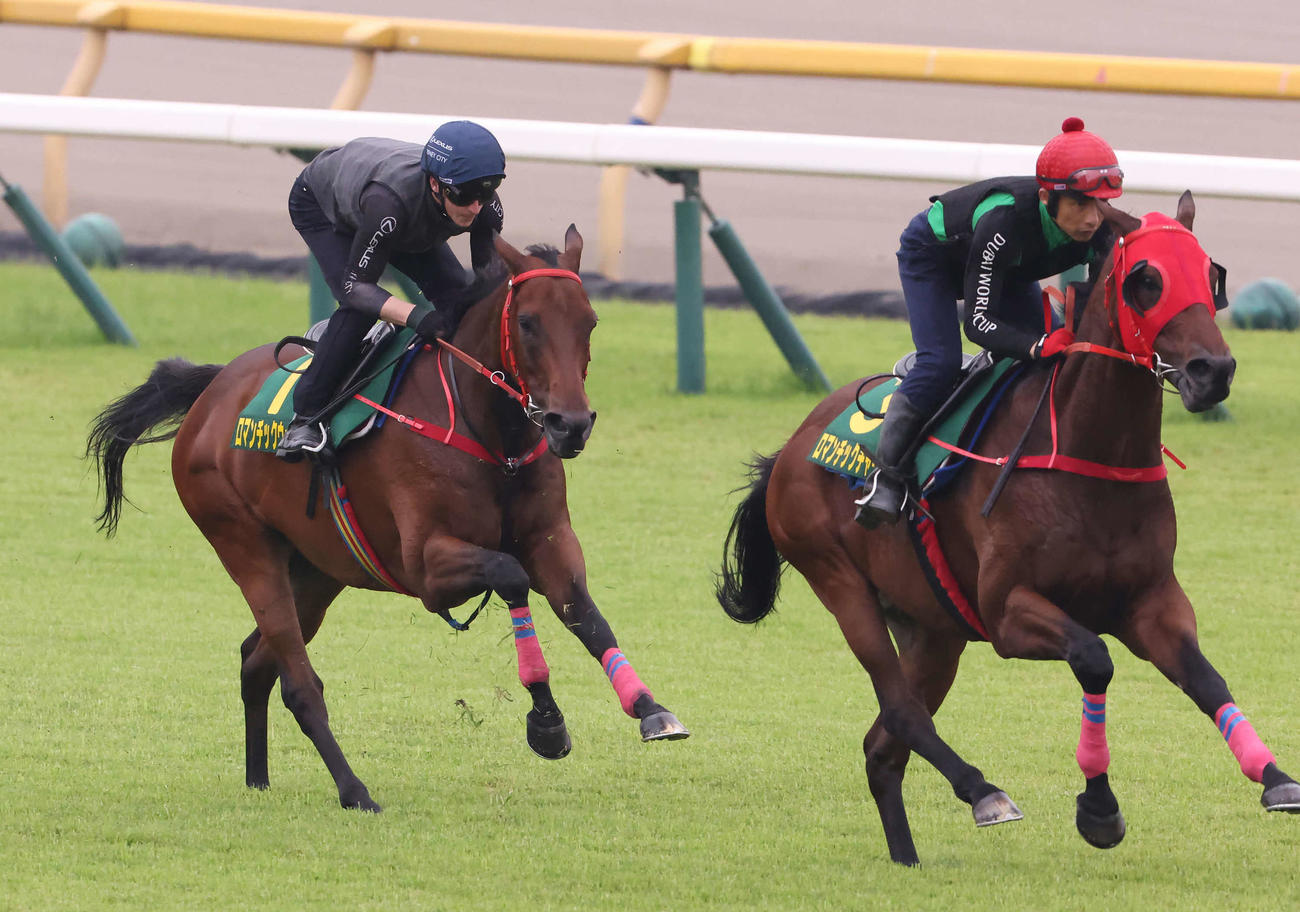 ロマンチックウォリアー（左）が東京競馬場で追い切り（撮影・丹羽敏通）