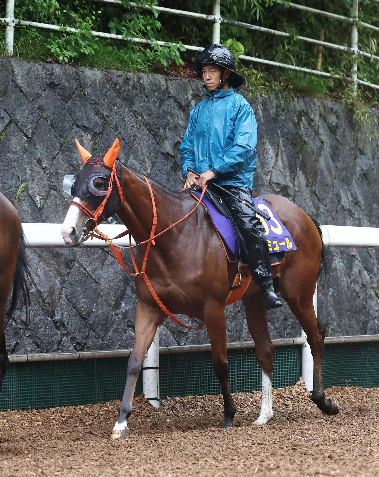 逍遥馬道で運動するナミュール（撮影・白石智彦）