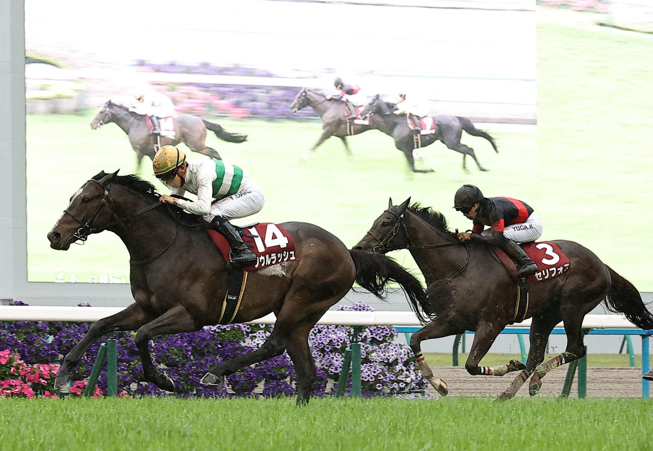 マイラーズカップを制したソウルラッシュ（2024年4月21日撮影）