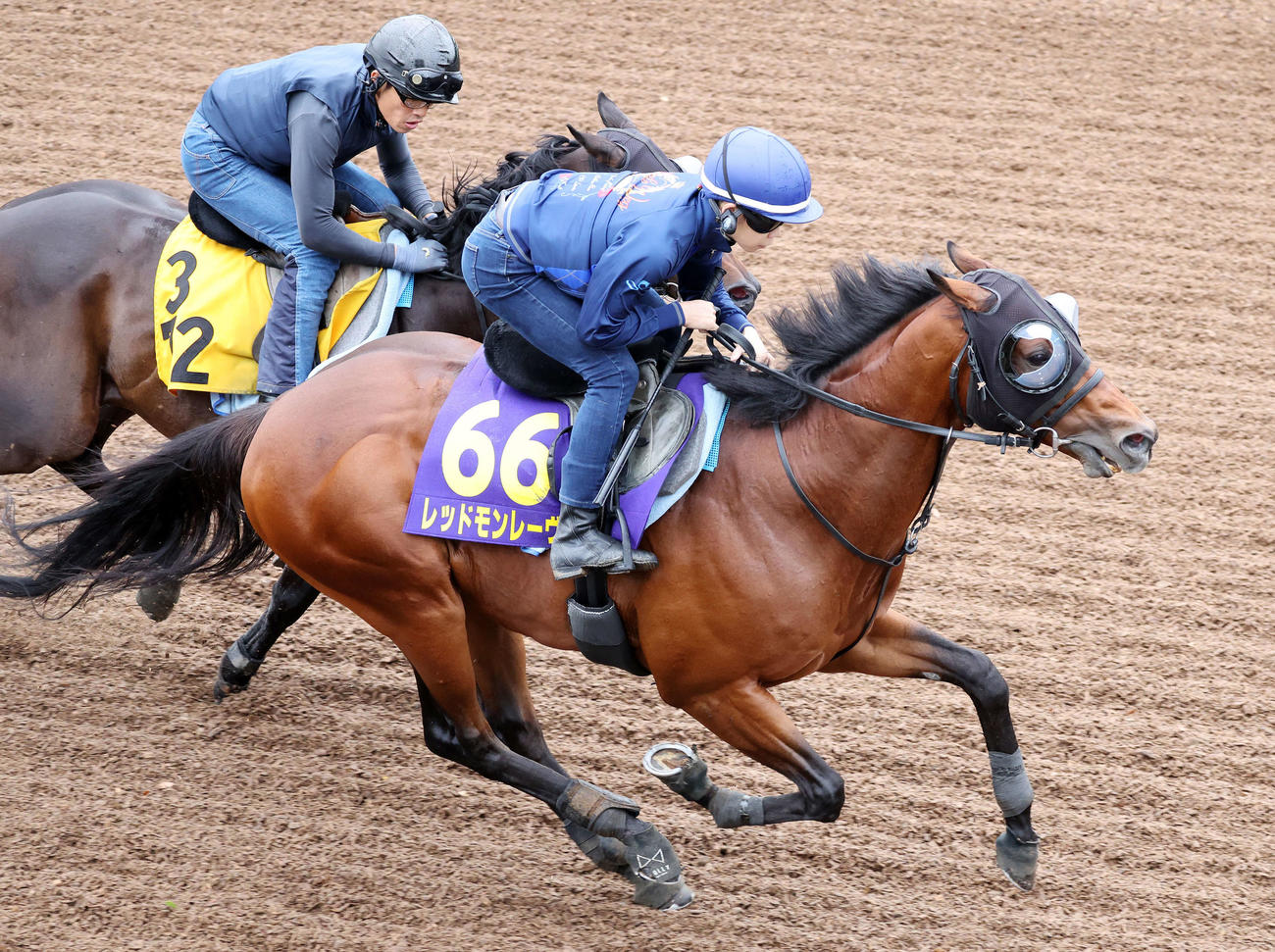 美浦坂路で併せて追い切るレッドモンレーヴ（手前）（撮影・鈴木正人）