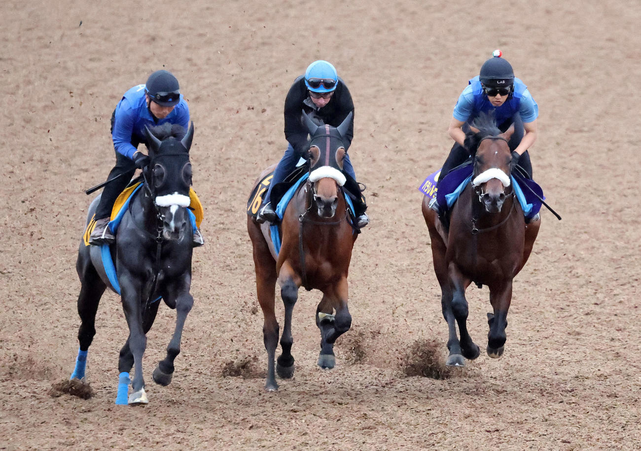 美浦ウッドで3頭併せで追い切るパラレルヴィジョン（右）（撮影・鈴木正人）