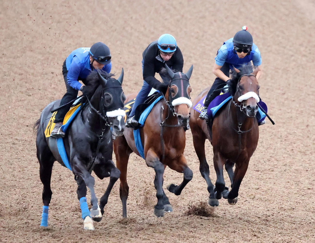 美浦ウッドで3頭併せで追い切るパラレルヴィジョン（右）（撮影・鈴木正人）