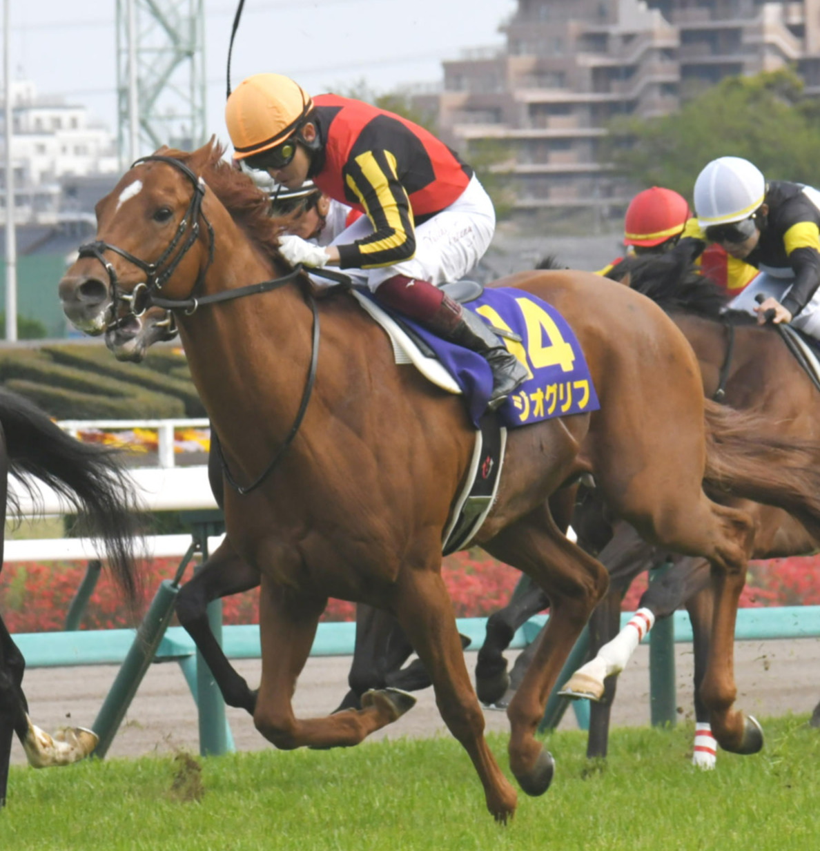ジオグリフ（2022年4月17日撮影）