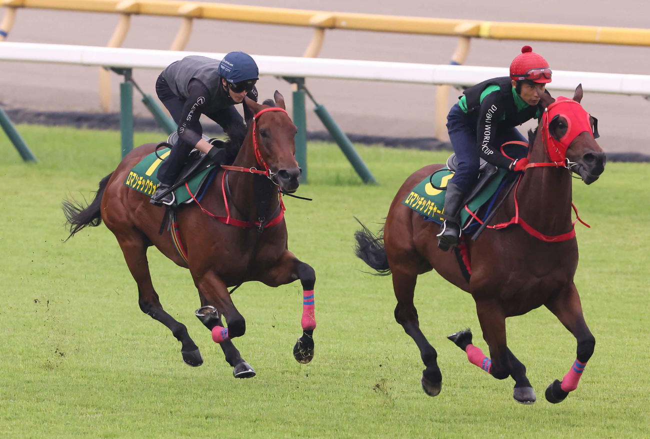 ロマンチックウォリアー（左）と帯同馬のロマンチックチャーム（2024年5月28日撮影）