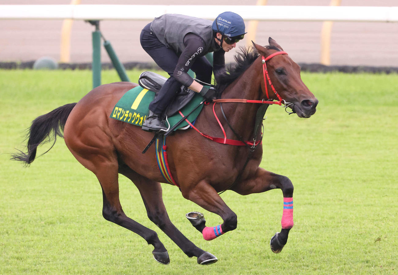 28日、芝コースで追い切られたロマンチックウォリアー