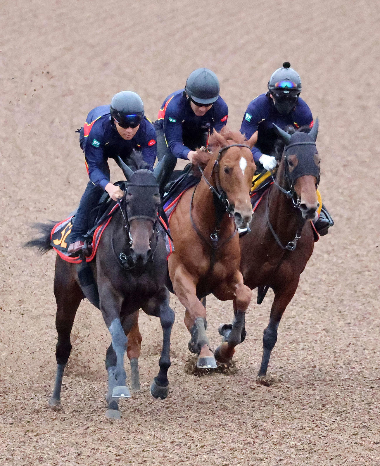 美浦ウッドで3頭併せで追い切るジオグリフ（中央）（撮影・鈴木正人）