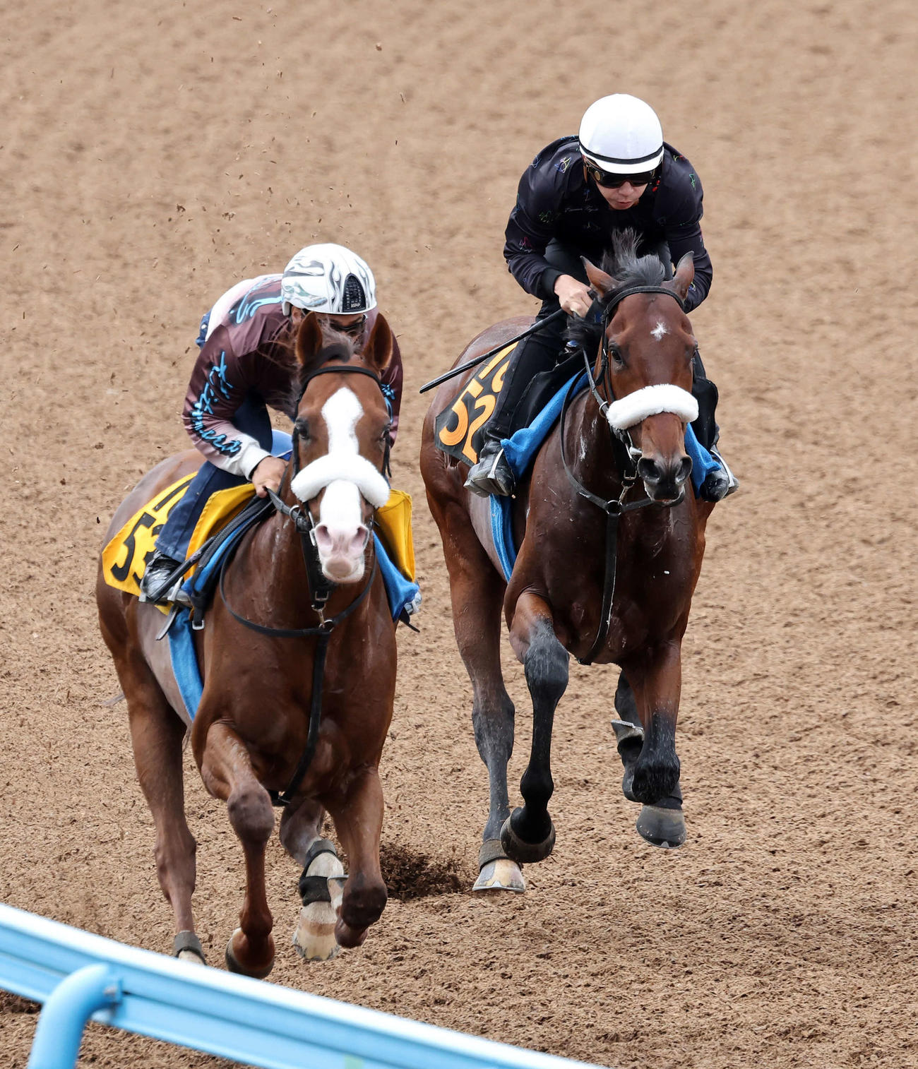 横山和生騎手を背に美浦ウッドで併せて追い切るサトノエピック（右）（撮影・鈴木正人）