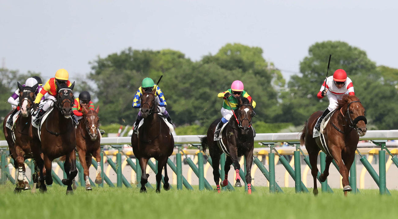 日本ダービーを制したダノンデサイル（右端）。左から2頭目は2着ジャスティンミラノ（24年5月26日撮影）