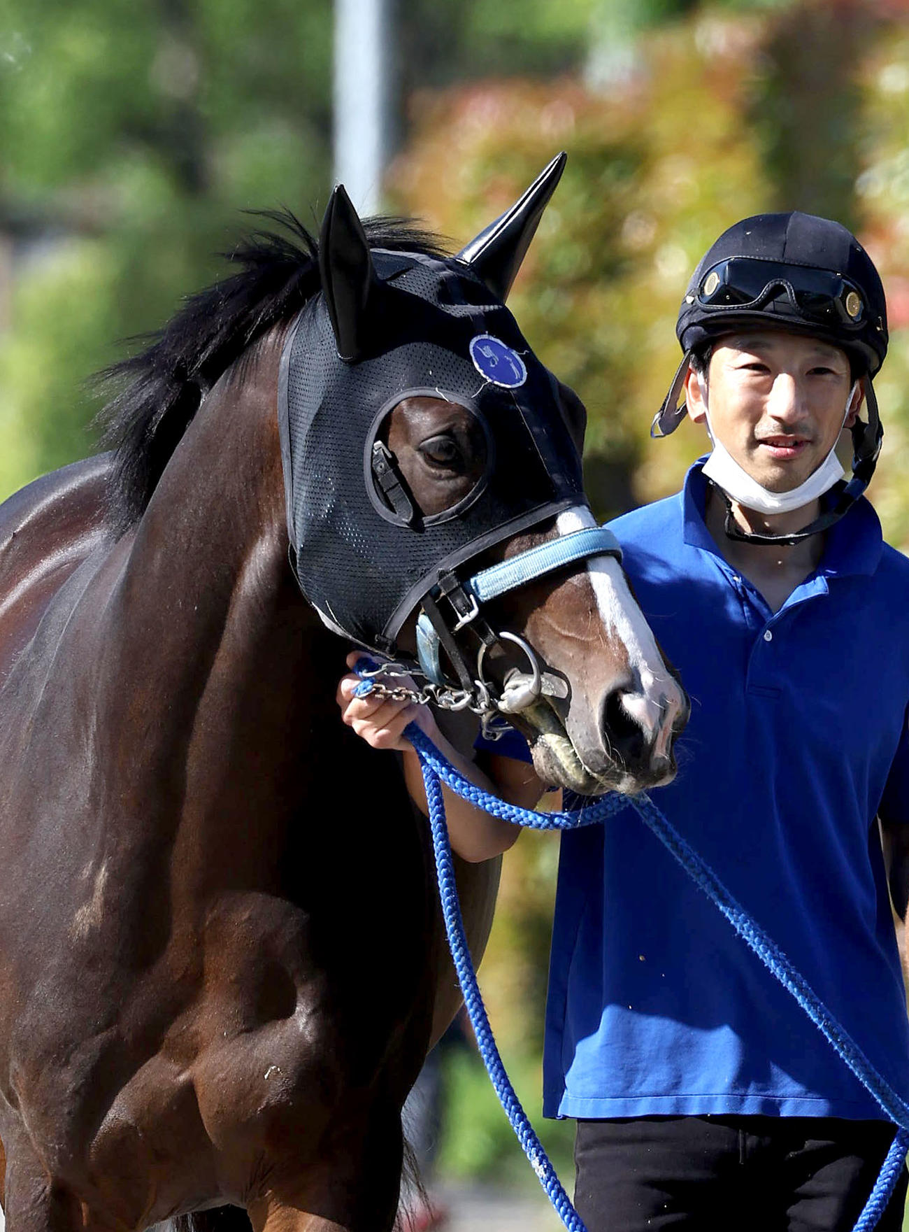 厩舎周りで運動するソウルラッシュ（撮影・白石智彦）