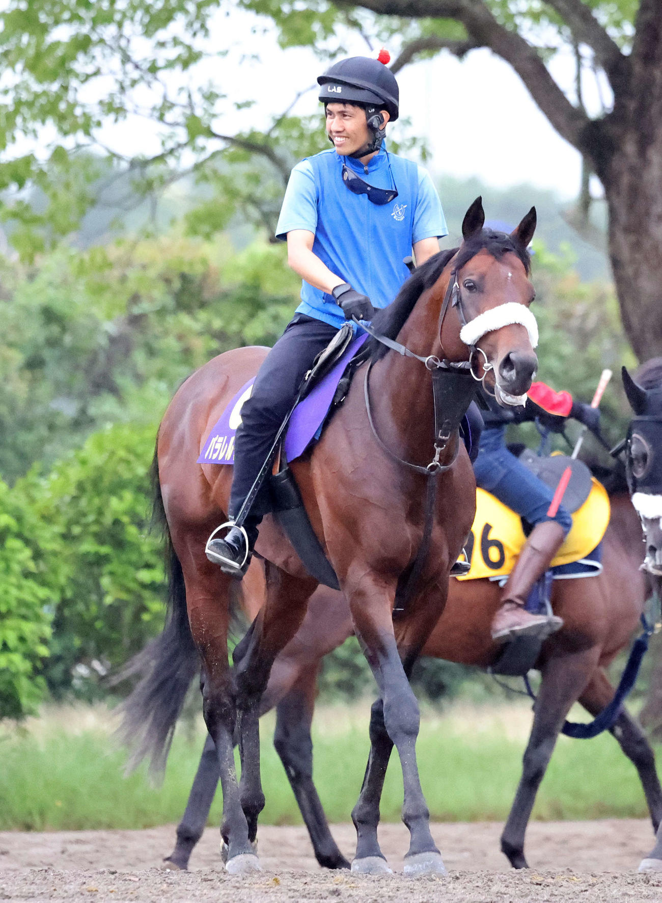 乗り運動するパラレルヴィジョン（撮影・鈴木正人）