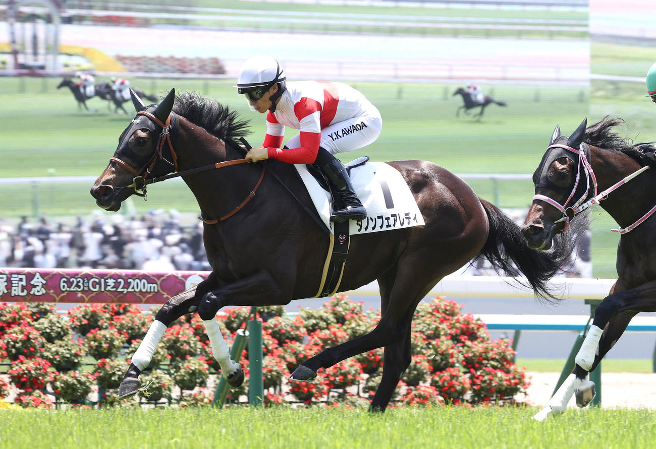 京都5R、逃げ切って新馬戦を快勝したダノンフェアレディ（撮影・白石智彦）