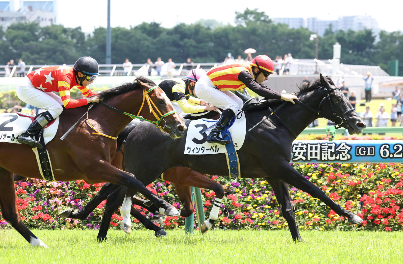 東京5R、2歳新馬戦を制したウィンターベルとルメール騎手（撮影・丹羽敏通）