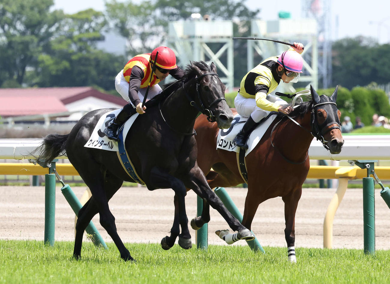 東京5R、2歳新馬戦を制したウィンターベルとルメール騎手（左）。右は2着サノノロンドン（撮影・丹羽敏通）