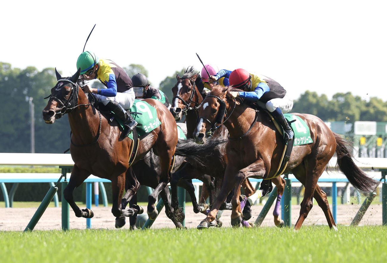 同じ勝負服同士の接戦を制して鳴尾記念を勝利したヨーホーレイク（左）（撮影・白石智彦）