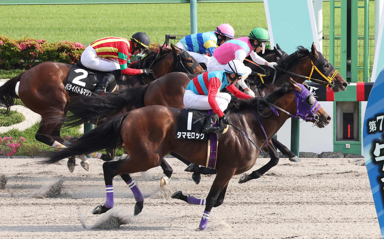 東京11R、アハルテケSを制したビヨンドザファザーと北村友騎手（手前から2頭目）（撮影・丹羽敏通）